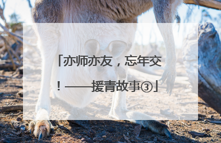 亦师亦友，忘年交！——援青故事③