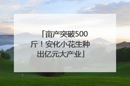 亩产突破500斤！安化小花生种出亿元大产业