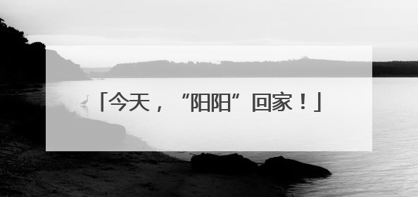 今天，“阳阳”回家！
