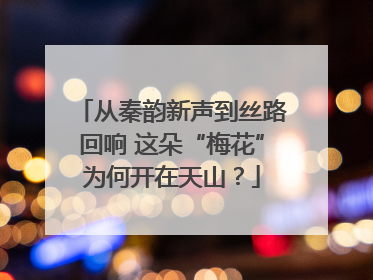 从秦韵新声到丝路回响 这朵“梅花”为何开在天山？