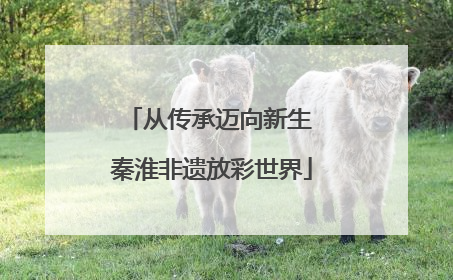 从传承迈向新生 秦淮非遗放彩世界