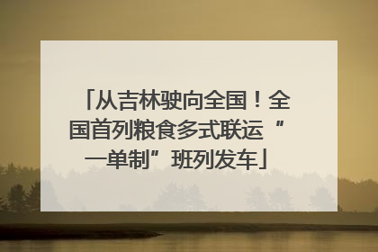 从吉林驶向全国！全国首列粮食多式联运“一单制”班列发车