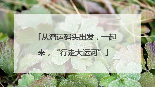 从漕运码头出发，一起来，“行走大运河”