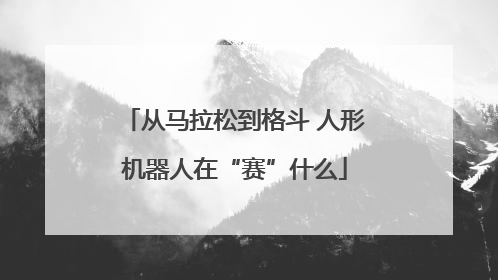 从马拉松到格斗 人形机器人在“赛”什么