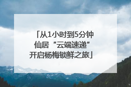 从1小时到5分钟 仙居“云端速递”开启杨梅锁鲜之旅