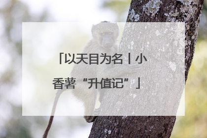 以天目为名丨小香薯“升值记”