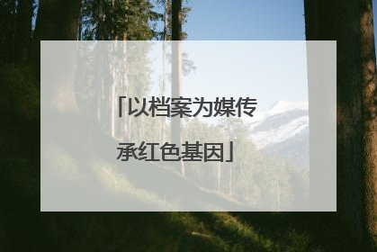 以档案为媒传承红色基因