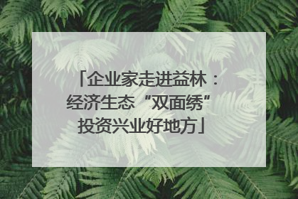 企业家走进益林：经济生态“双面绣” 投资兴业好地方