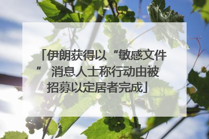 伊朗获得以“敏感文件” 消息人士称行动由被招募以定居者完成