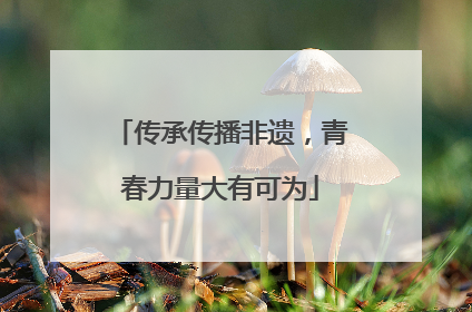 传承传播非遗，青春力量大有可为