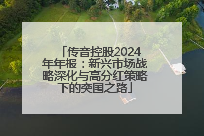 传音控股2024年年报：新兴市场战略深化与高分红策略下的突围之路