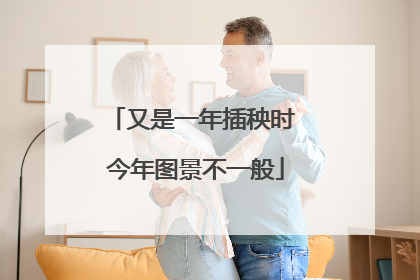 又是一年插秧时 今年图景不一般