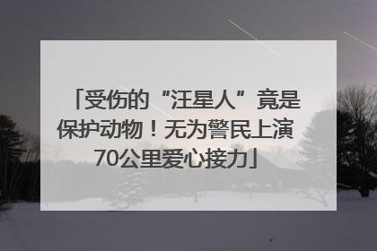 受伤的“汪星人”竟是保护动物！无为警民上演70公里爱心接力