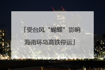 受台风“蝴蝶”影响 海南环岛高铁停运