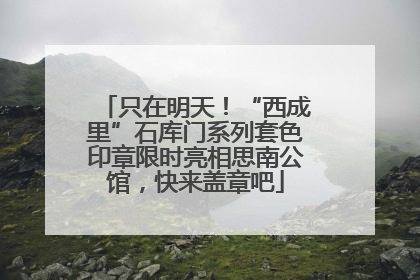 只在明天！“西成里”石库门系列套色印章限时亮相思南公馆，快来盖章吧