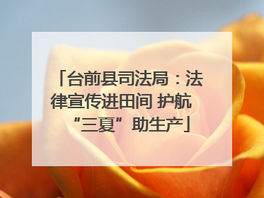 台前县司法局：法律宣传进田间 护航“三夏”助生产