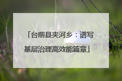 台前县夹河乡：谱写基层治理高效能篇章