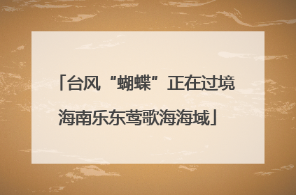 台风“蝴蝶”正在过境海南乐东莺歌海海域