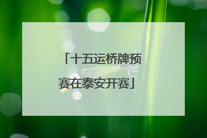 十五运桥牌预赛在泰安开赛