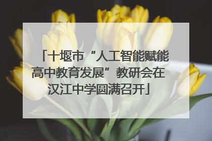 十堰市“人工智能赋能高中教育发展”教研会在汉江中学圆满召开