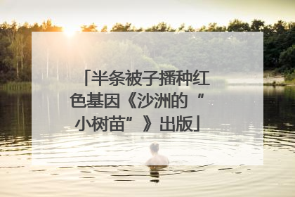 半条被子播种红色基因《沙洲的“小树苗”》出版