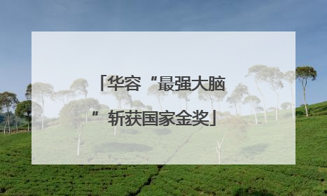 华容“最强大脑”斩获国家金奖