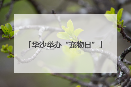 华沙举办“宠物日”