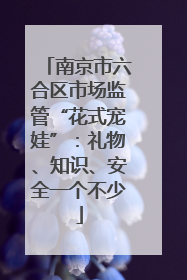 南京市六合区市场监管“花式宠娃”：礼物、知识、安全一个不少