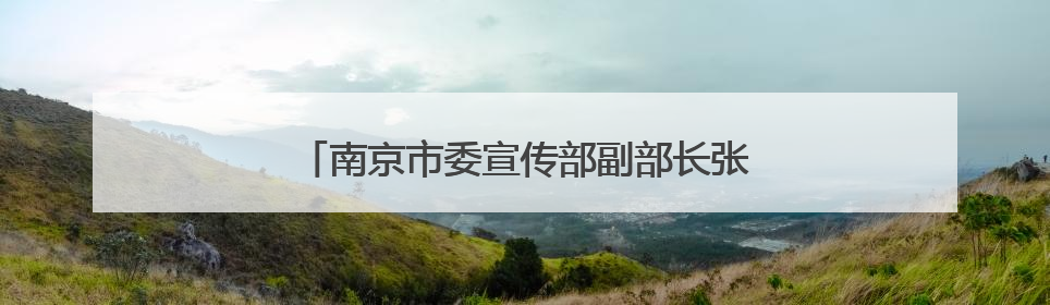南京市委宣传部副部长张政，已任高淳区委书记