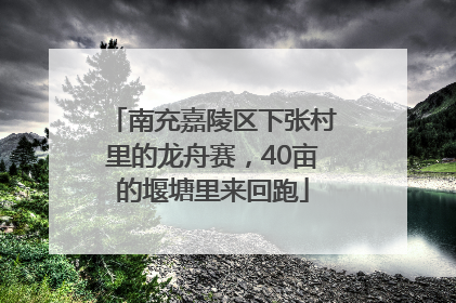 南充嘉陵区下张村里的龙舟赛，40亩的堰塘里来回跑
