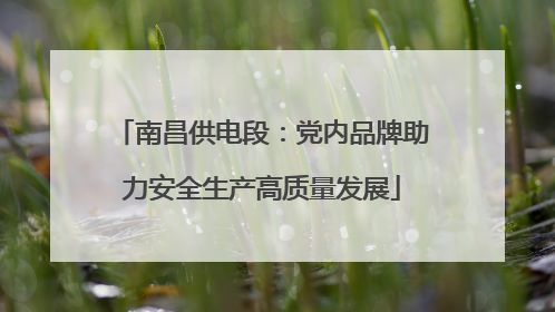 南昌供电段：党内品牌助力安全生产高质量发展