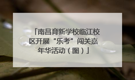 南昌育新学校临江校区开展“乐考”闯关嘉年华活动（图）