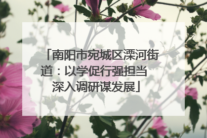 南阳市宛城区溧河街道：以学促行强担当 深入调研谋发展
