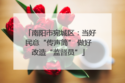 南阳市宛城区：当好民意“传声筒” 做好改造“监督员”