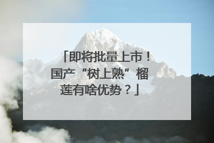即将批量上市！国产“树上熟”榴莲有啥优势？