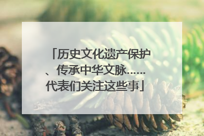 历史文化遗产保护、传承中华文脉……代表们关注这些事