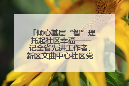倾心基层“智”理 托起社区幸福——记全省先进工作者、新区文曲中心社区党委书记董世弘