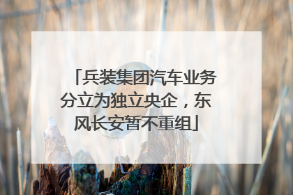 兵装集团汽车业务分立为独立央企，东风长安暂不重组