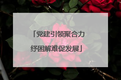 党建引领聚合力 纾困解难促发展