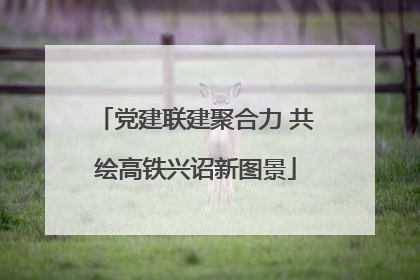 党建联建聚合力 共绘高铁兴诏新图景
