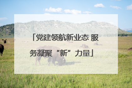 党建领航新业态 服务凝聚“新”力量