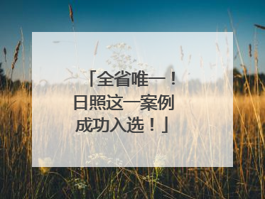 全省唯一！日照这一案例成功入选！