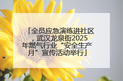 全员应急演练进社区，武汉龙泉街2025年燃气行业“安全生产月”宣传活动举行
