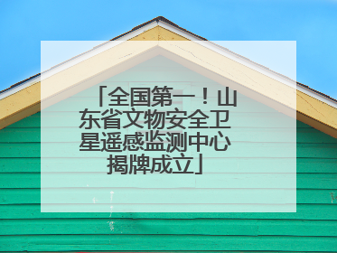 全国第一！山东省文物安全卫星遥感监测中心揭牌成立