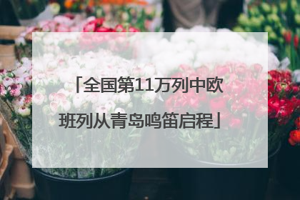 全国第11万列中欧班列从青岛鸣笛启程