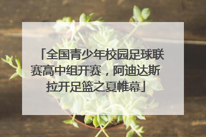 全国青少年校园足球联赛高中组开赛，阿迪达斯拉开足篮之夏帷幕