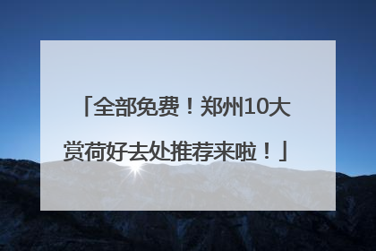 全部免费！郑州10大赏荷好去处推荐来啦！