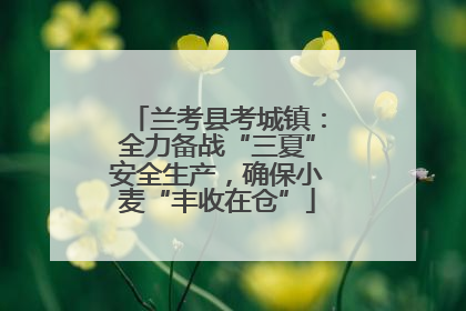 兰考县考城镇：全力备战“三夏”安全生产，确保小麦“丰收在仓”