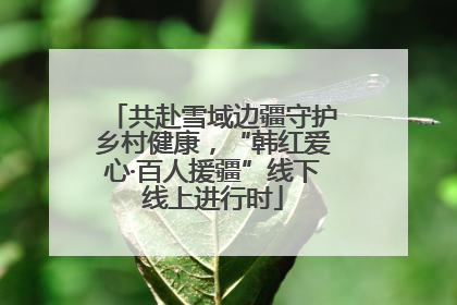 共赴雪域边疆守护乡村健康，“韩红爱心·百人援疆”线下线上进行时