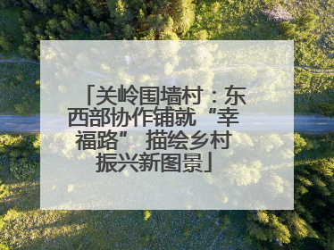 关岭围墙村：东西部协作铺就“幸福路” 描绘乡村振兴新图景